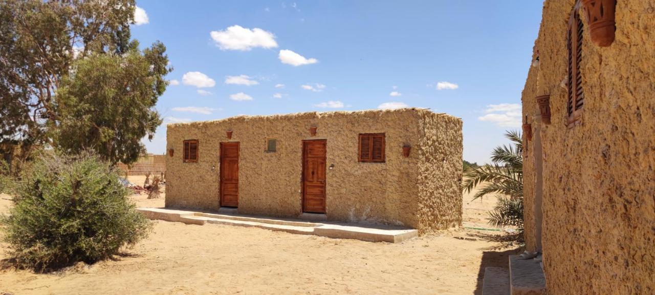 Cafour House Siwa - Hot Spring Hotell Siwa Oasis Exteriör bild