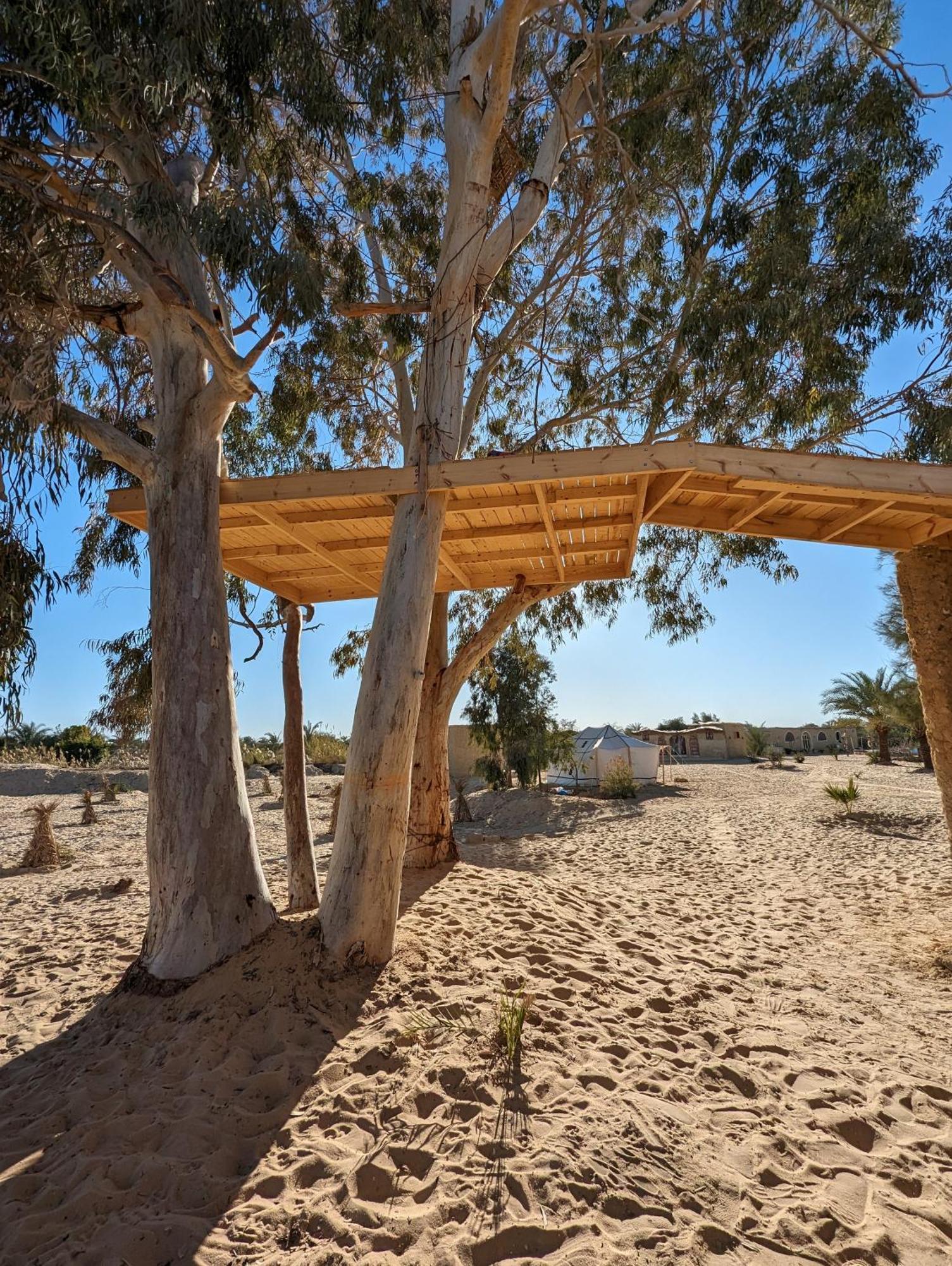 Cafour House Siwa - Hot Spring Hotell Siwa Oasis Exteriör bild