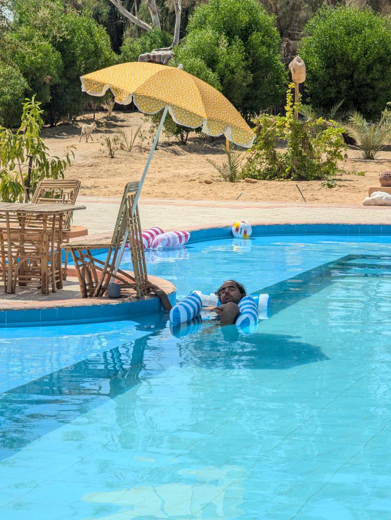 Cafour House Siwa - Hot Spring Hotell Siwa Oasis Exteriör bild