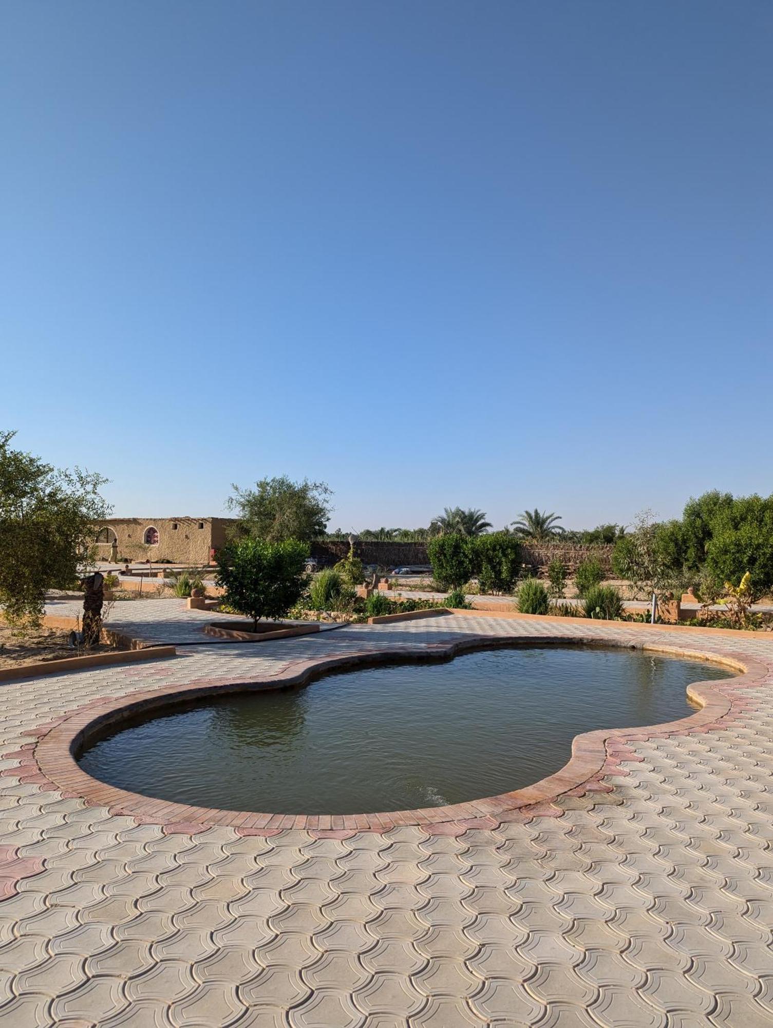 Cafour House Siwa - Hot Spring Hotell Siwa Oasis Exteriör bild