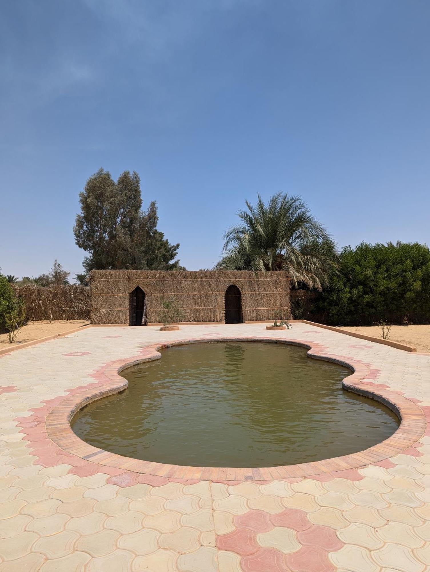 Cafour House Siwa - Hot Spring Hotell Siwa Oasis Exteriör bild